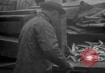 Standbild Köder Fisch zubereitet Boston Massachusetts USA, 1935, aus Sekunde 39 historischem Filmmaterial Videoclip 65675046915