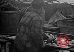 Standbild Köder Fisch zubereitet Boston Massachusetts USA, 1935, aus Sekunde 45 historischem Filmmaterial Videoclip 65675046915