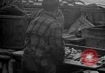 Standbild Köder Fisch zubereitet Boston Massachusetts USA, 1935, aus Sekunde 46 historischem Filmmaterial Videoclip 65675046915