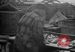 Standbild Köder Fisch zubereitet Boston Massachusetts USA, 1935, aus Sekunde 50 historischem Filmmaterial Videoclip 65675046915