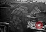 Standbild Köder Fisch zubereitet Boston Massachusetts USA, 1935, aus Sekunde 53 historischem Filmmaterial Videoclip 65675046915