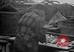 Standbild Köder Fisch zubereitet Boston Massachusetts USA, 1935, aus Sekunde 58 historischem Filmmaterial Videoclip 65675046915