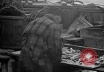 Standbild Köder Fisch zubereitet Boston Massachusetts USA, 1935, aus Sekunde 60 historischem Filmmaterial Videoclip 65675046915