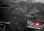 Standbild Köder Fisch zubereitet Boston Massachusetts USA, 1935, aus Sekunde 62 historischem Filmmaterial Videoclip 65675046915