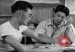 Image l'internement de Japonais San Bruno California USA, 1942, de la seconde 43 séquences d'archives historiques vidéo 65675046921