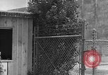Image of Internment of Japanese Salinas California USA, 1942, second 18 stock footage video 65675046923