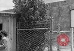 Image of Internment of Japanese Salinas California USA, 1942, second 39 stock footage video 65675046923