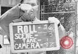 Image of Internment of Japanese Salinas California USA, 1942, second 58 stock footage video 65675046923