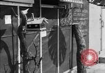 Image of paper delivery California United States USA, 1942, second 40 stock footage video 65675046924