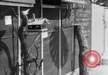 Image of paper delivery California United States USA, 1942, second 42 stock footage video 65675046924
