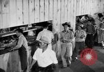 Image of Dining Hall Salinas California USA, 1942, second 9 stock footage video 65675046925