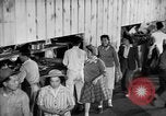 Image of Dining Hall Salinas California USA, 1942, second 12 stock footage video 65675046925