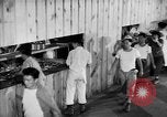 Image of Dining Hall Salinas California USA, 1942, second 23 stock footage video 65675046925