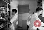 Immagine di Giapponese centro di internamento farmacia ospedaliera Santa Anita California USA, 1942, secondo 6 filmato di repertorio 65675046932