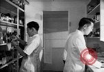 Immagine di Giapponese centro di internamento farmacia ospedaliera Santa Anita California USA, 1942, secondo 9 filmato di repertorio 65675046932
