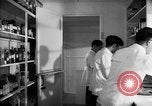 Immagine di Giapponese centro di internamento farmacia ospedaliera Santa Anita California USA, 1942, secondo 22 filmato di repertorio 65675046932