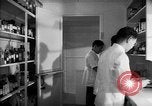 Immagine di Giapponese centro di internamento farmacia ospedaliera Santa Anita California USA, 1942, secondo 23 filmato di repertorio 65675046932