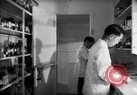Immagine di Giapponese centro di internamento farmacia ospedaliera Santa Anita California USA, 1942, secondo 26 filmato di repertorio 65675046932