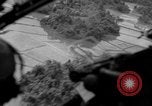 Image of French B-26 bombers Indochina, 1954, second 50 stock footage video 65675046934