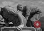 Image of French B-26 bombers Indochina, 1954, second 6 stock footage video 65675046935