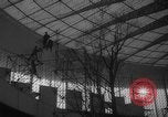 Standbild Brüssel Messe Belgien, 1958, aus Sekunde 17 historischem Filmmaterial Videoclip 65675046943
