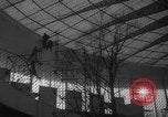 Standbild Brüssel Messe Belgien, 1958, aus Sekunde 18 historischem Filmmaterial Videoclip 65675046943