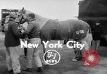 Immagine di American horse jumping team New York United States USA, 1956, secondo 3 filmato di repertorio 65675046949