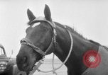 Immagine di American horse jumping team New York United States USA, 1956, secondo 4 filmato di repertorio 65675046949