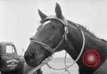 Immagine di American horse jumping team New York United States USA, 1956, secondo 6 filmato di repertorio 65675046949