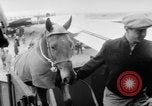 Immagine di American horse jumping team New York United States USA, 1956, secondo 12 filmato di repertorio 65675046949