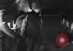 Immagine di American horse jumping team New York United States USA, 1956, secondo 17 filmato di repertorio 65675046949