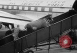 Immagine di American horse jumping team New York United States USA, 1956, secondo 23 filmato di repertorio 65675046949