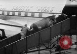 Immagine di American horse jumping team New York United States USA, 1956, secondo 24 filmato di repertorio 65675046949