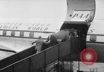 Immagine di American horse jumping team New York United States USA, 1956, secondo 26 filmato di repertorio 65675046949