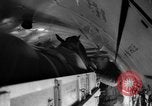 Immagine di American horse jumping team New York United States USA, 1956, secondo 35 filmato di repertorio 65675046949