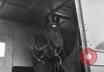 Immagine di American horse jumping team New York United States USA, 1956, secondo 45 filmato di repertorio 65675046949