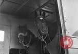 Immagine di American horse jumping team New York United States USA, 1956, secondo 46 filmato di repertorio 65675046949