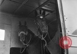 Immagine di American horse jumping team New York United States USA, 1956, secondo 47 filmato di repertorio 65675046949