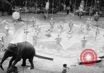 Image of Spring circus New York City USA, 1956, second 6 stock footage video 65675046952