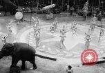 Image of Spring circus New York City USA, 1956, second 7 stock footage video 65675046952