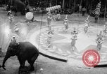 Image of Spring circus New York City USA, 1956, second 8 stock footage video 65675046952