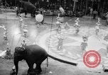 Image of Spring circus New York City USA, 1956, second 9 stock footage video 65675046952