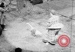 Image of Spring circus New York City USA, 1956, second 11 stock footage video 65675046952