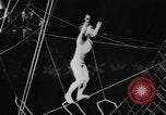 Image of Spring circus New York City USA, 1956, second 56 stock footage video 65675046952