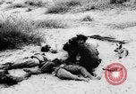 Image of Arab-Israeli conflict Gaza Strip, 1956, second 44 stock footage video 65675046953