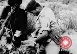Image of Arab-Israeli conflict Gaza Strip, 1956, second 51 stock footage video 65675046953