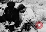 Image of Arab-Israeli conflict Gaza Strip, 1956, second 52 stock footage video 65675046953