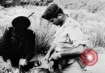 Image of Arab-Israeli conflict Gaza Strip, 1956, second 53 stock footage video 65675046953