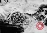 Image of Arab-Israeli conflict Gaza Strip, 1956, second 54 stock footage video 65675046953