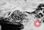 Image of Arab-Israeli conflict Gaza Strip, 1956, second 55 stock footage video 65675046953